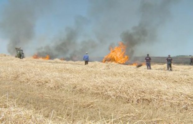 10 hectare cu orz, cuprinse de flăcări